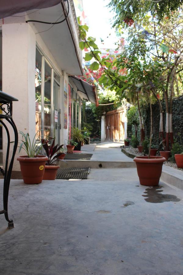 Hostel Himalaya Katmandu Dış mekan fotoğraf